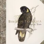 Cover of the book Birds of Tasmania by Susan Lester featuring a beautiful painting of a yellow-tailed black cockatoo on a branch against a cream background.